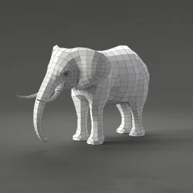 Elephant